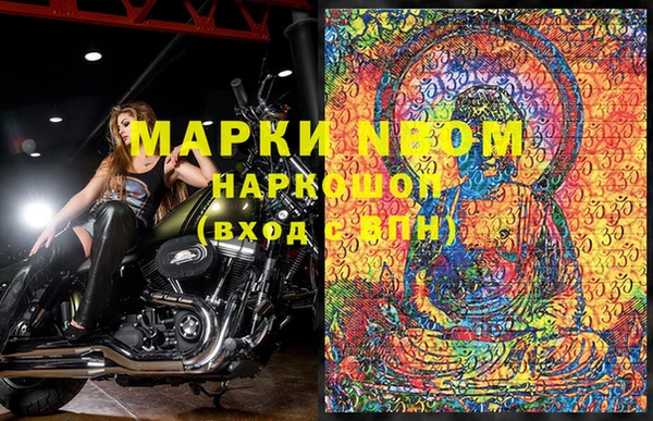 PSILOCYBIN Аркадак