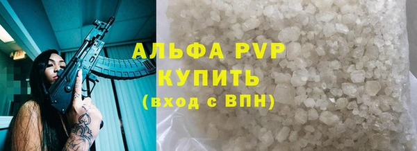 СК Алзамай