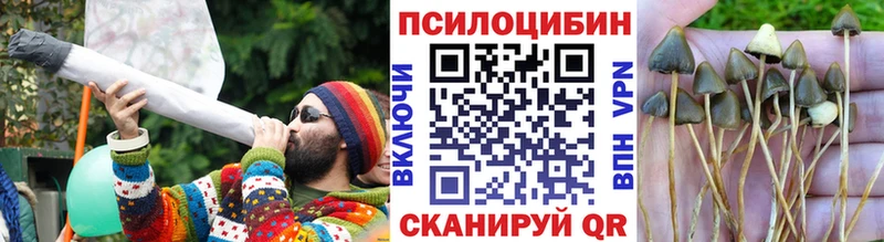 Псилоцибиновые грибы ЛСД  наркотики  Малая Вишера 
