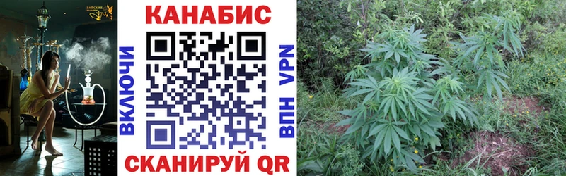 Шишки марихуана планчик  площадка состав  Малая Вишера  ОМГ ОМГ tor 